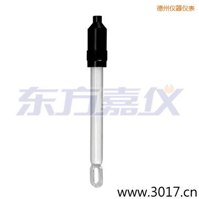 德州無(wú)溫補(bǔ)兩線電導(dǎo)率電極